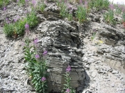 cool_rocks