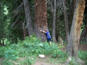 tree_hugger_patrick