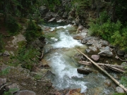 crystal_river_part_1