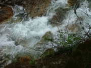 crystal_river_part_3