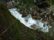 crystal_river_part_4