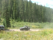 ladd_on_the_trail