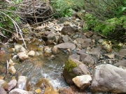 river_rocks