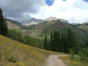 trail_with_a_view
