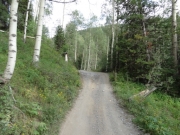 dirt_track