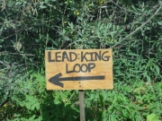 follow_the_sign