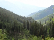 valley_view