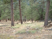 downhill
