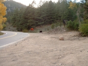 the_bear_we_saw