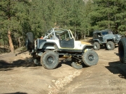 playing_with_the_big_jeeps