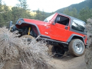 monica_stuck