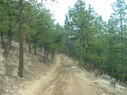 dirt_trail