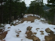 fresh_snow