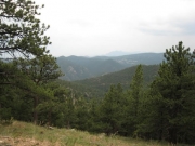 big_view