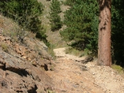 tippy_section_near_the_upper_kiosk