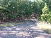 to_castle_gulch
