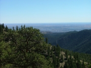 view_from_the_top