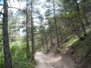 early_climb