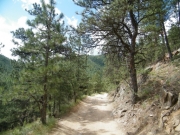 mellow_trail