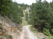 near_the_top
