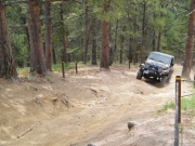 walt_up_big_momma_hill_part_2