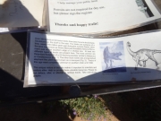 dinosaur_tracks_info_1_part_3