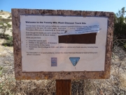 dinosaur_tracks_info_2_part_1