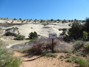 dinosaur_tracks_info_2_part_2