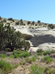 standing_on_dinosaur_tracks