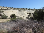 to_the_dinosaur_tracks