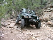 bob_on_the_trail