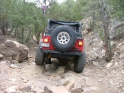 monica_down_the_trail