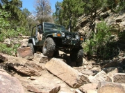 austin_on_the_trail
