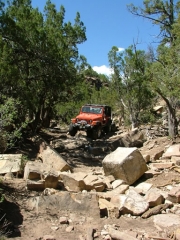 cheryl_on_the_trail