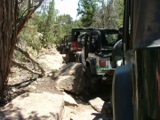 jeeps