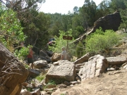 last_obstacle