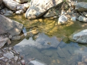 water_near_the_end