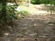 bumpy