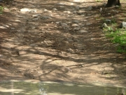 mud_and_rocks