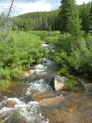 tennessee_creek