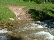 creek_crossing_2