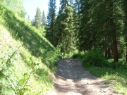early_trail
