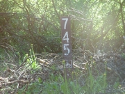 forest_service_sign