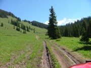 muddy_tracks