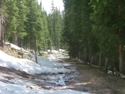 snow_on_the_trail
