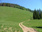 sweeping_hillside