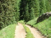 tracks