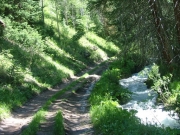 trail_next_to_rushing_water