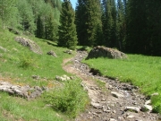 water_on_the_trail