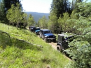 jeeps